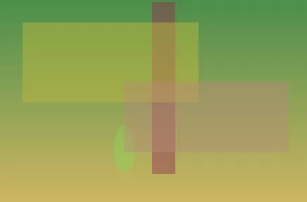 开云