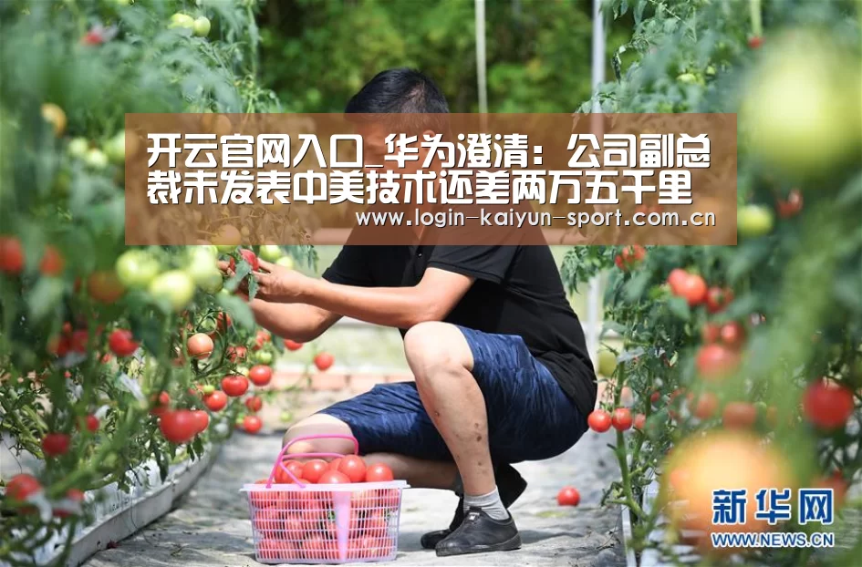 开云官网入口_华为澄清:公司副总裁未发表中美技术还差两万五千里表述(图1) 开云